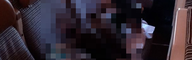 Des passagers d'un avion bien étranges...