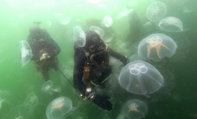 forces-speciales-monde (Forces Spéciales Allemandes)