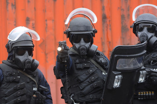 forces-speciales-monde (Forces Spéciales Irlandaises)