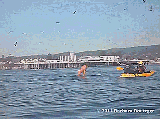 Gens qui ont frôlé la mort - 24