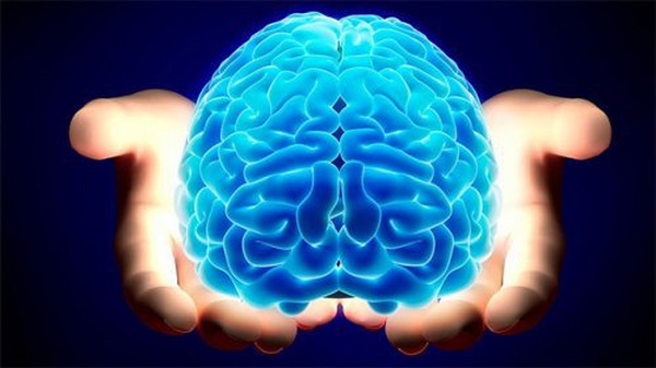 23 choses à connaitre sur les gauchers (Les connexions entre le côté gauche et droit du cerveau sont plus rapides chez les gauchers, ce qui signifie qu'ils sont plus à même de traiter des multiples stimulis)