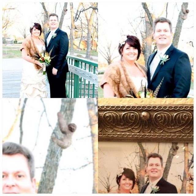 Photos humour de mariage rigolo - 33