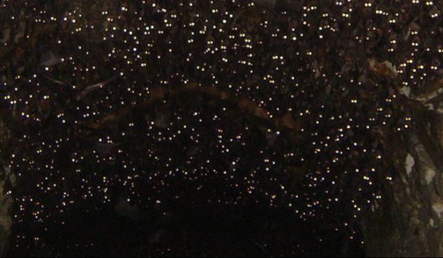 Une grotte colonisée par des chauves souris - 2